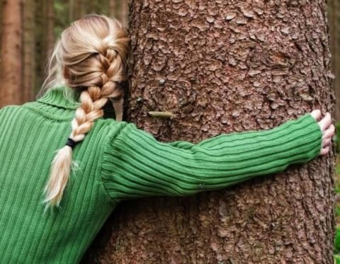 Ecoansiedad: la carga mental del “perfeccionismo verde”