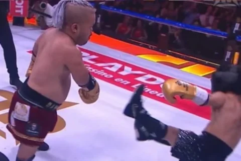 Vence Bull Terrie al Abelito en el Ring Royale